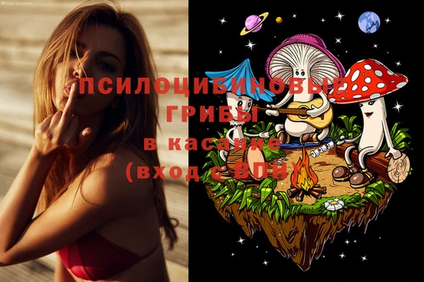 ПСИЛОЦИБИНОВЫЕ ГРИБЫ Алексин