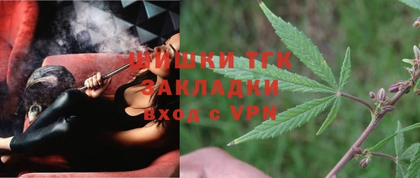 ПСИЛОЦИБИНОВЫЕ ГРИБЫ Алексин