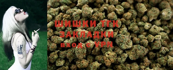 молекула духа Алзамай