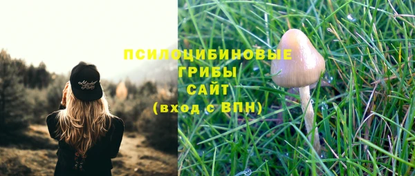 ПСИЛОЦИБИНОВЫЕ ГРИБЫ Алексин
