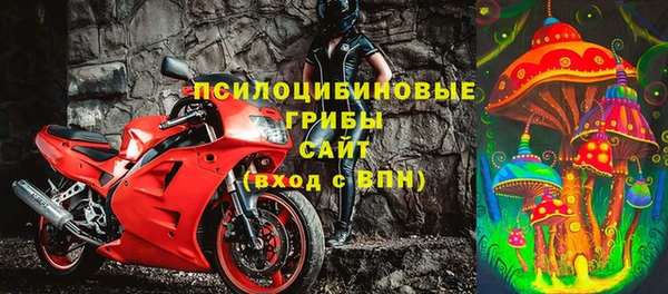 ПСИЛОЦИБИНОВЫЕ ГРИБЫ Алексин