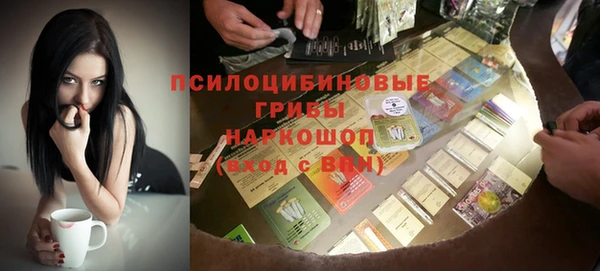молекула духа Алзамай